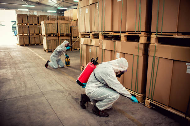 Best Affordable Pest Control Services  in Oaklyn, NJ