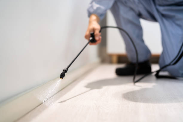 Best Local Pest Control Services  in Oaklyn, NJ
