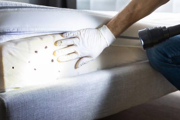 Best Affordable Pest Control Services  in Oaklyn, NJ